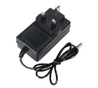 Fiauli AC Adapter 21V 1A, Switching Power Supply AC230V 240V to Direct Current 21V, Power Driver, adapters 21Volt Charger Inverter Transformer AC-Direct Current Adapter for Mini Chainsaw, Leaf Blowe