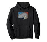 Fibonacci Cat or Golden Ratio and Spiral or Fibonacci Pullover Hoodie