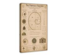 Fibonacci Sequence Vintage Mathematical Harmony Golden Spiral Art Poster Canvas Poster for Bedroom Decor Gift