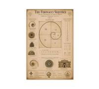 Fibonacci Sequence Vintage Mathematical Harmony Golden Spiral Art Poster Canvas Poster for Office Decor Gift