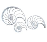 Fibonacci Shell Growth Shape Cookie Cutter Dough Biscuit Pastry Fondant Stamp Stencil Sharp Sequence Maths Science Pattern Nature (Set of 3)