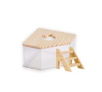 FiboPawer Transparent Pentagon Hamster Sand Bath Box for Hamster Cage Accessories, Digging Sand Container with Climbing Ladder, Large Sandbox for Hamsters Dust Bath and Play Sand1