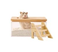 FiboPawer Transparent Rectangle Hamster Sand Bath Box for Hamster Cage Accessories, Digging Sand Container with Climbing Ladder, Large Sandbox for Hamsters Dust Bath and Play Sand,Large