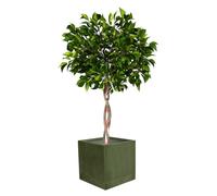 Fibre Clay Box Planters 37cm Indoor Plant Pots Outdoor Planters Striped Finish Flower Pot Patio Decking Lawn Doorstep Porch Houseplant Shrub Topiary Bush Square Plant Pots (Green, Large 44L)