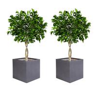 Fibre Clay Box Planters 37cm Set of 2 Striped Plant Pots (Grey, L, 40L)