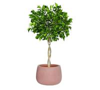 Fibre Clay Plant Pot Round Flower Pot Planter 42cm (Terracotta, Medium 30L)