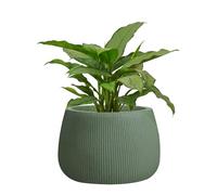 Fibre Clay Plant Pot Round Flower Pot Planters 29cm (Green, Small 8.5L)