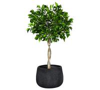 Fibre Clay Plant Pot Round Flower Pot Planters 42cm (Black, Medium 30L) | Fibre Clay, Drainage Hole, Patio, Decking, Lawn, Doorstep, Porch, Lawn, Rippled Finish, Round, Planter, Plant Pot