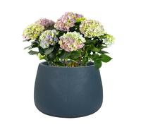 Fibre Clay Plant Pot Round Flower Pot Planters 42cm (Dark Blue, Medium 30L)