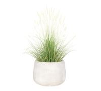 Fibre Clay Plant Pot Round Flower Pot Planters 55cm (White, Large 70L) | Fibre Clay, Drainage Hole, Patio, Decking, Lawn, Doorstep, Porch, Lawn, Rippled Finish, Round, Planter, Plant Pot