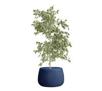 Fibre Clay Plant Pots 55cm Indoor/Outdoor Modern Rippled Finish Flower Pot Planters Patio Decking Lawn Doorstep Porch Houseplant Shrub Topiary Bush Plant Pot Clay Planters (Blue, Large 70L) - ED24