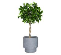 Fibre Clay Plant Pots Indoor/Outdoor Tiered Patio Planters (Grey, Medium)