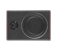 Fichiouy 8 Inch 600W Car Subwoofer, Powered Under Seat Car Subwoofers, Truck Audio Subwoofer Sub Built in Amplifier, Powerful Bass for Passion Driving, High/Low Level Input