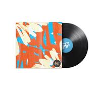 Fickle Friends - Fickle Friends [VINYL]