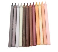 Fictory 12 Colour Woodless Pencil Set Oil Based Pigment Crayons Non-Toxic Drawing Applicators for Adults Students Professional Portrait Sketching Illustration