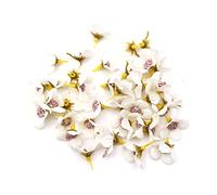 Fictory 50Pcs 2cm Mini Silk Daisy Flowers, Artificial Daisy Heads for DIY Crafts, Wreath Making, Wedding Decorations and Home Floral Arrangements