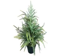 Fictory 60CM Norfolk Pine Artificial Christmas Tree, Soft Plastic Vine Foliage, Realistic Tabletop Decor for Home Holiday Festive Display