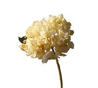 Fictory Artificial Hydrangea Bouquet with Burnt Edge Petals, 36cm Beige Vintage Silk Flowers for Home Wedding and Event Decor