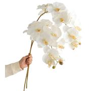 Fictory Artificial Phalaenopsis Orchid Stems, 2-Pack Cream White Faux Silk Flowers with 10 Blooms Each for Wedding Hall and Home Decor