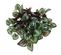 Fictory Artificial Red Watermelon Leaf Plant, 32cm Realistic Faux Greenery with 5 Laminated Leaves for Home Office Wedding Tabletop Decor