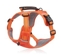 Fictory Canine Vest Lead, Hi-Vis Oxford Mesh for Large Dogs, Adjustable, Secure & Breathable for Night Safety Walking