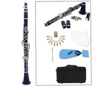 Fictory Clarinet ABS 17 Key bB Flat Soprano, Beginner-Friendly, Complete Set with Reeds & Accessories, Affordable Quality