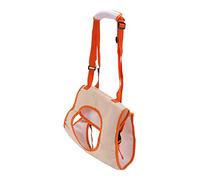 Fictory Dog Front Leg Support Harness, Breathable Padded Mobility Aid for Injured, Arthritic & Elderly Dogs, Small