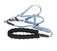 Fictory Dog Harness and Lead Set, Adjustable Escape-Proof Vest for Small Dogs and Puppies, Small, Blue Colour