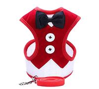Fictory Dog Harness and Lead Set, Breathable Bow Tie Vest for Small Medium Dogs, Comfortable Walking Harness, Red Colour, Large
