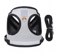 Fictory Dog Harness and Lead Set Reflective & Adjustable for Small Dogs and Puppies, S, Grey