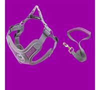 Fictory Dog Harness Breathable Vest S with Reflective Strip for Small Pets, Secure Fit Purple Colour Canine Strap Includes 1.5m Lead