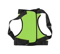 Fictory Dog Lift Harness for Rear Legs, Mobility Support Sling for Elderly & Injured Dogs - Small, Green Colour