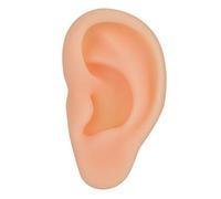 Fictory Ear Model for Acupuncture Practice, Realistic Feel, Cost-Effective Training Tool