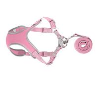 Fictory Escape Proof Dog Harness and Leash, Reflective Padded Vest for Small Medium Dogs, Pink M