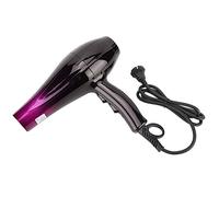 Fictory Pet Hair Dryer Low Noise & Powerful Grooming Blower for Dogs and Cats with Adjustable Speed & Heat