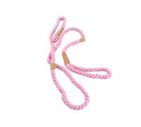 Fictory Rope Slip Dog Lead Heavy Duty No Pull Training for Small Medium Large Dogs 1.7m Blue