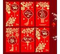 Fictory Vietnamese Lunar New Year Red Envelopes, 6-Pack Dragon Design Lucky Money Packets for Year of the Dragon, Creative Zodiac Themed Gift Pouch for Spring Festival