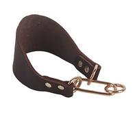 Fictory Wide Greyhound & Whippet Collar, Durable Riveted Artificial Cowhide for Sighthounds, 33cm Neck Size, Brown Colour