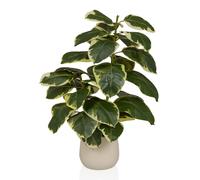 Ficus 3 - Artificial plant Green / White