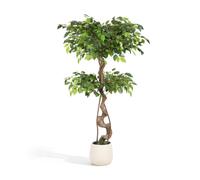Ficus Artificial Tree 120 cm Birch Fig with Two Tier Crown in White Pot | With malleable branches, easy-care artificial plant for living room, bedroom and office