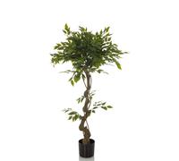 FICUS I - Artificial plant Green