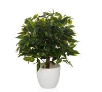 FICUS II - Artificial plant Green