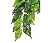 Ficus plant decoration kit Exo Terra