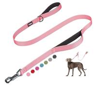 Fida 4 FT Heavy Duty Dog Leash with 2 Comfortable Padded Handles, Traffic Handle & Advanced Easy Snap Hook, Reflective Walking Lead for Large, Medium & Small Breed Dogs, Pink