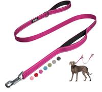 Fida 5 FT Heavy Duty Dog Leash with 2 Comfortable Padded Handles, Traffic Handle & Advanced Easy Snap Hook, Reflective Walking Lead for Large, Medium & Small Breed Dogs, Rose