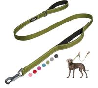 Fida 5 FT Heavy Duty Dog Leash with 2 Comfortable Padded Handles, Traffic Handle & Advanced Easy Snap Hook, Reflective Walking Lead for Large, Medium & Small Breed Dogs, Green