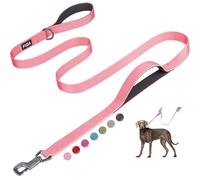 Fida 6 FT Heavy Duty Dog Leash with 2 Comfortable Padded Handles, Traffic Handle & Advanced Easy Snap Hook, Reflective Walking Lead for Large, Medium & Small Breed, Pink