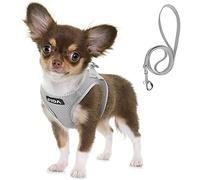 Fida Comfy Dog Harness with Leash, Soft Puppy Vest Escape Proof, Breathable Lightweight Soft Mesh, Adjustable Reflective Step-in Harness for Small Pets Walking (Small, Grey)