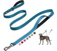 Fida Dog Leash Traffic Padded Two Handles, Advanced Easy Clasp, Heavy Duty Reflective Leashes for Control Safety Training, Walking Lead for Small to Large Dogs, 6 ft, Blue