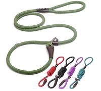 Fida Durable Slip Lead Dog Leash Bulk Pack of 5, Heavy Duty 1/2" x 6 FT Comfortable Strong Rope Slip Leash for Large, Medium & Small Dogs No Pulling Pet Training Leash with Highly Reflective (Mixed)